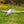 Heron 1150mm