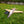 Heron 1150mm
