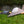 Heron 1150mm