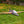 Heron 1150mm
