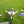 6a4aeb06584e8d2e51897e30_1000028171_1785481448786.jpg
