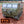 6a4aeb06584e8d2e51897e30_foto8_1784062213871.png