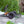 1/3 Kart - base chassis