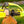 1/3 Kart - addon 4 - racing rims