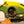 1/3 Kart - addon 4 - racing rims