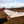 Duck Delta wing