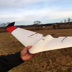 Duck Delta wing
