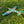 Supermarine Spitfire MK. IX