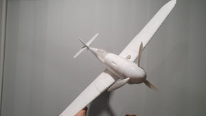 BF-109 G10 600mm