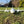 PA-60 Piper Aerostar 750mm