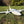 PA-60 Piper Aerostar 750mm