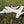 PA-60 Piper Aerostar 750mm